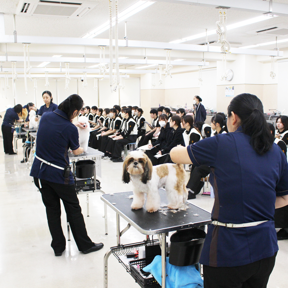 １年生へ、先生の試技会！Part①